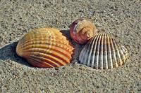 Jak obliczyć wymiar urlopu wypoczynkowego?