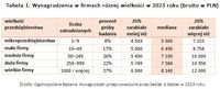 Wynagrodzenia w firmach różnej wielkości w 2023 roku (brutto w PLN)