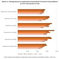 Wynagrodzenia na wybranych stanowiskach w firmach różnej wielkości w 2023 roku 