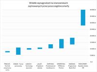 Widełki wynagrodzeń na stanowiskach zajmowanych przez poszczególne smerfy