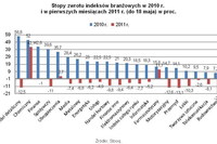 Najlepsze indeksy branżowe GPW I-V 2011