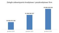 Zaległe zobowiązania kredytowe i pozakredytowe firm
