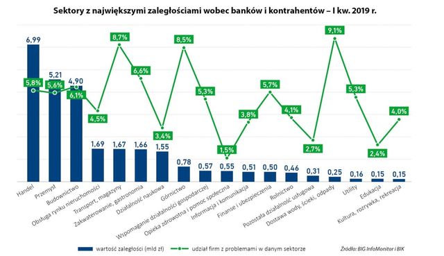 Najbardziej zadłużone sektory polskiej gospodarki I kw. 2019