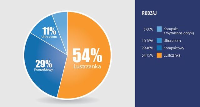 Polscy internauci a wybór aparatu cyfrowego