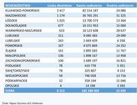 Liczba dłużników/Kwota zadłużenia - województwa
