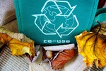 Zero waste i recykling, czyli Polacy bardziej eko