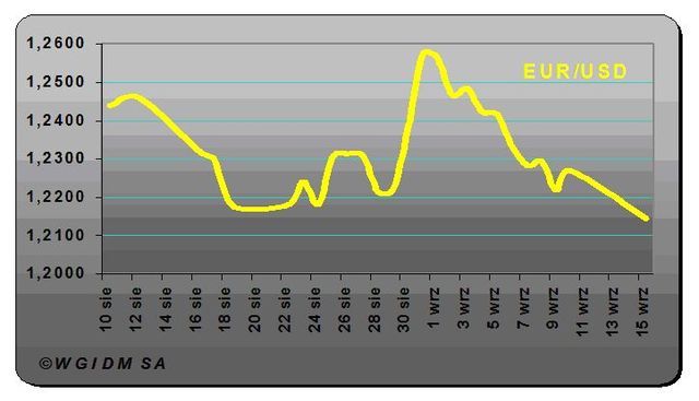 Złoty: rekord za rekordem