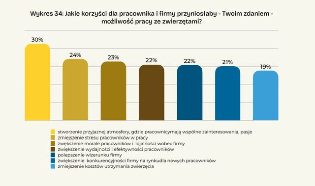 Zwierzęta domowe i biurowe: czy praca to miejsce dla psów i kotów?