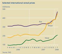 Wybrane międzynarodowe ceny zboża (fioletowy - ryż; pomarańczowy - pszenica; zielony - kukurydza)